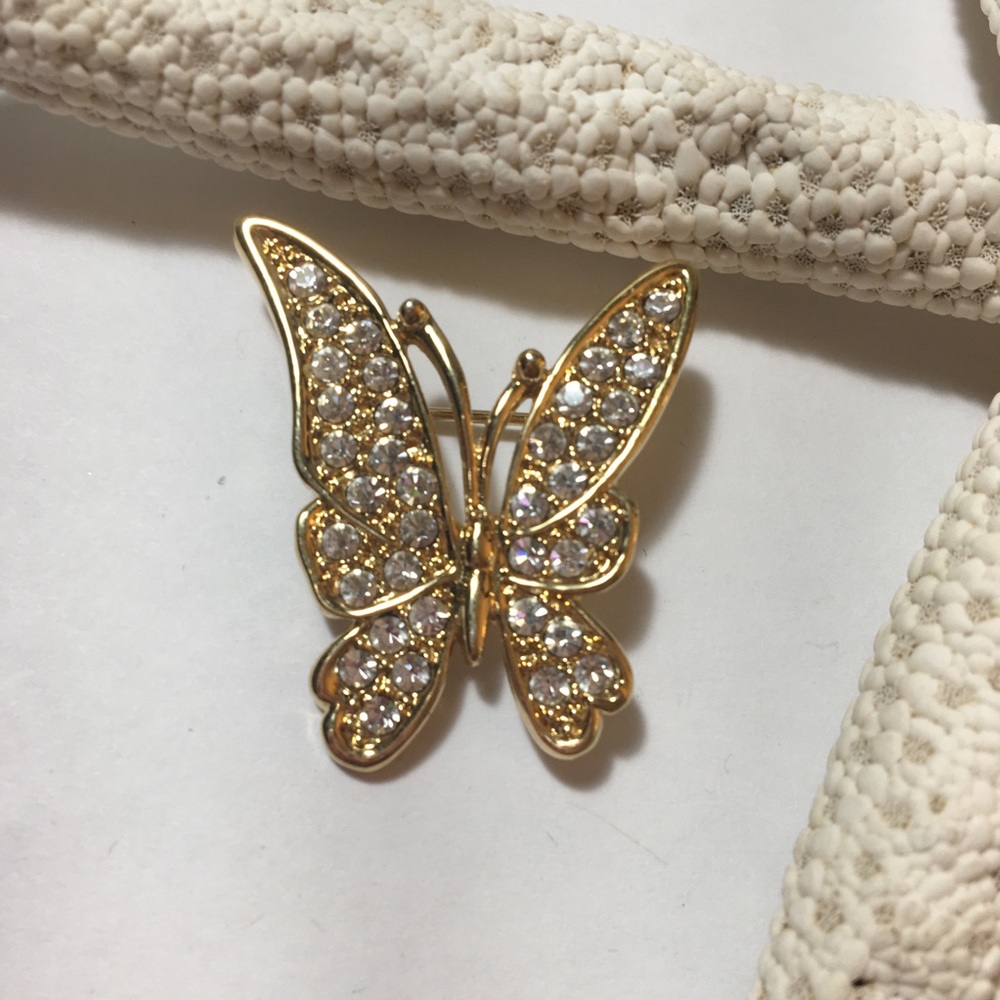 Butterfly brooch